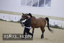 25R13_14329 thumbnail