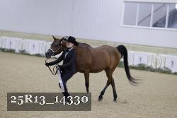 25R13_14330 thumbnail
