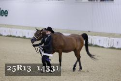 25R13_14331 thumbnail