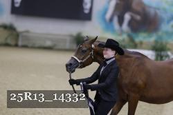 25R13_14332 thumbnail