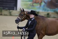 25R13_14334 thumbnail