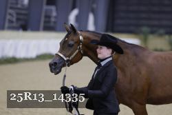 25R13_14335 thumbnail