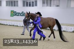 25R13_14336 thumbnail