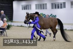 25R13_14337 thumbnail