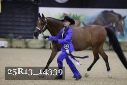 25R13_14339 thumbnail