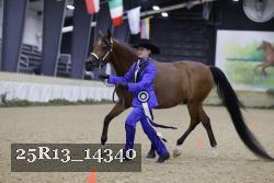 25R13_14340 thumbnail