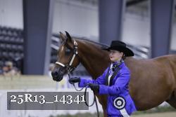 25R13_14341 thumbnail