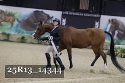 25R13_14344 thumbnail