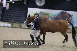 25R13_14345 thumbnail