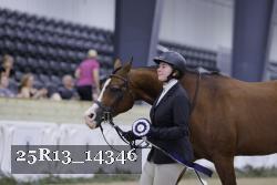 25R13_14346 thumbnail