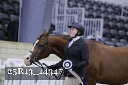 25R13_14347 thumbnail