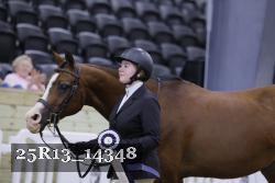 25R13_14348 thumbnail