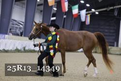 25R13_14349 thumbnail