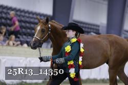 25R13_14350 thumbnail