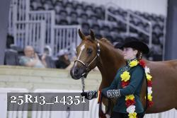 25R13_14351 thumbnail