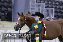 25R13_14352 thumbnail