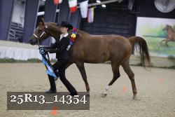 25R13_14354 thumbnail