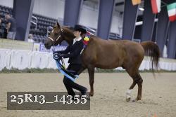 25R13_14355 thumbnail