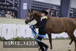25R13_14356 thumbnail