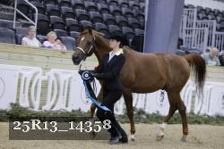 25R13_14358 thumbnail