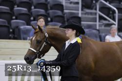 25R13_14359 thumbnail
