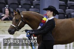 25R13_14360 thumbnail