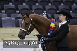 25R13_14361 thumbnail