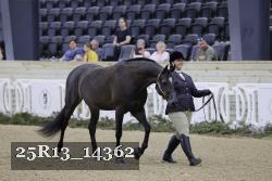 25R13_14362 thumbnail