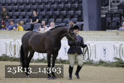 25R13_14363 thumbnail