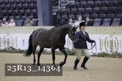25R13_14364 thumbnail