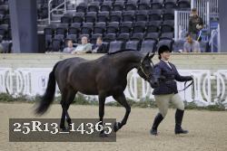 25R13_14365 thumbnail