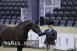 25R13_14367 thumbnail