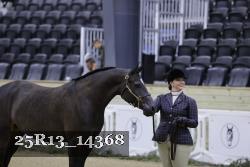 25R13_14368 thumbnail