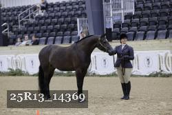 25R13_14369 thumbnail