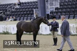 25R13_14370 thumbnail