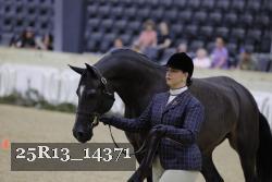 25R13_14371 thumbnail