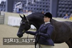 25R13_14372 thumbnail