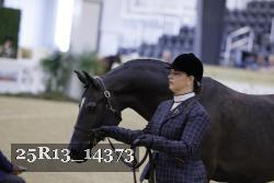 25R13_14373 thumbnail