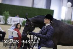 25R13_14374 thumbnail