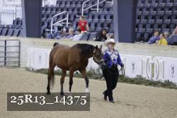 25R13_14375 thumbnail
