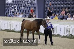 25R13_14376 thumbnail