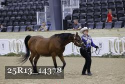 25R13_14378 thumbnail