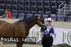 25R13_14379 thumbnail