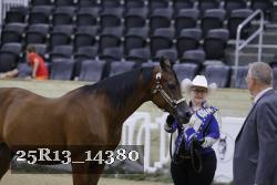 25R13_14380 thumbnail