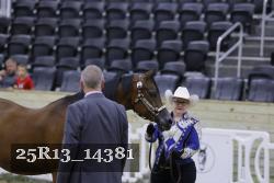 25R13_14381 thumbnail