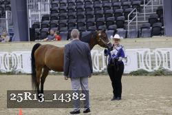 25R13_14382 thumbnail