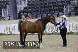 25R13_14383 thumbnail