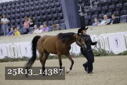 25R13_14387 thumbnail