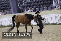25R13_14388 thumbnail