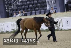 25R13_14389 thumbnail